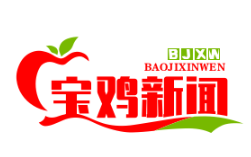 阳平铁路物流基地二期投运，中欧班列年发运量突破300列，助力“一带一路”发展